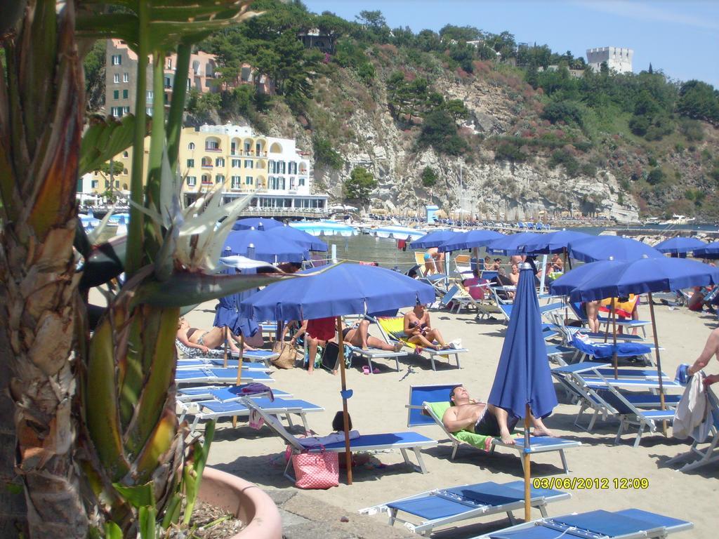 Celestina Ischia *