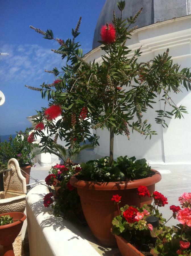 Celestina Ischia Lacco Ameno (Isola d'Ischia)