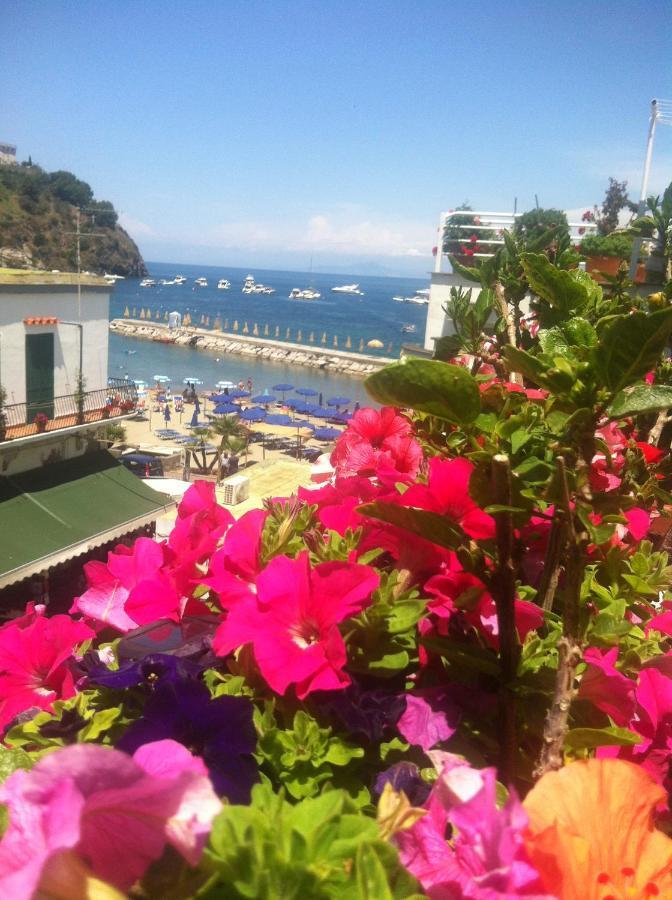Celestina Ischia